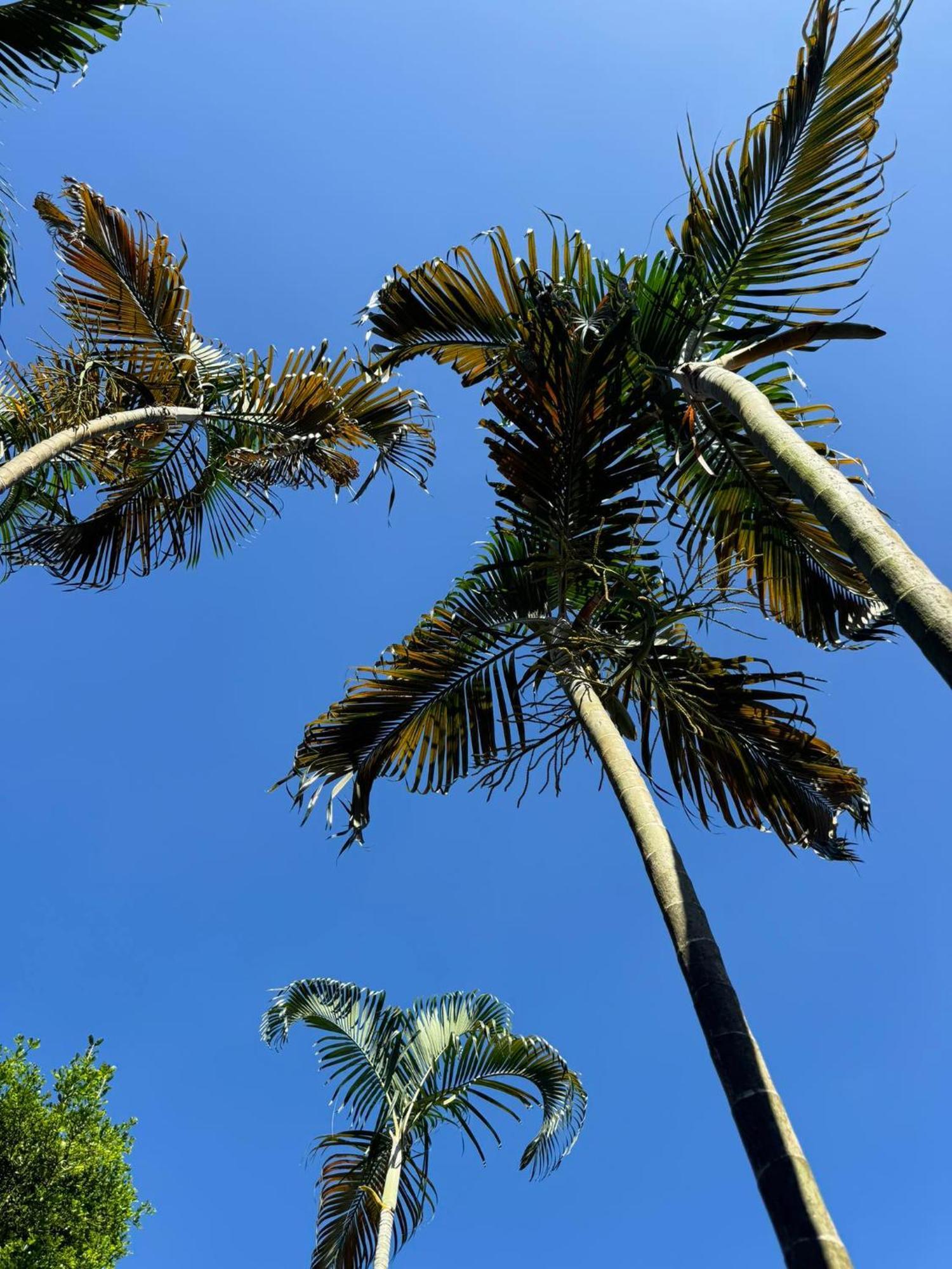 Boonya Resort Koh Chang Buitenkant foto