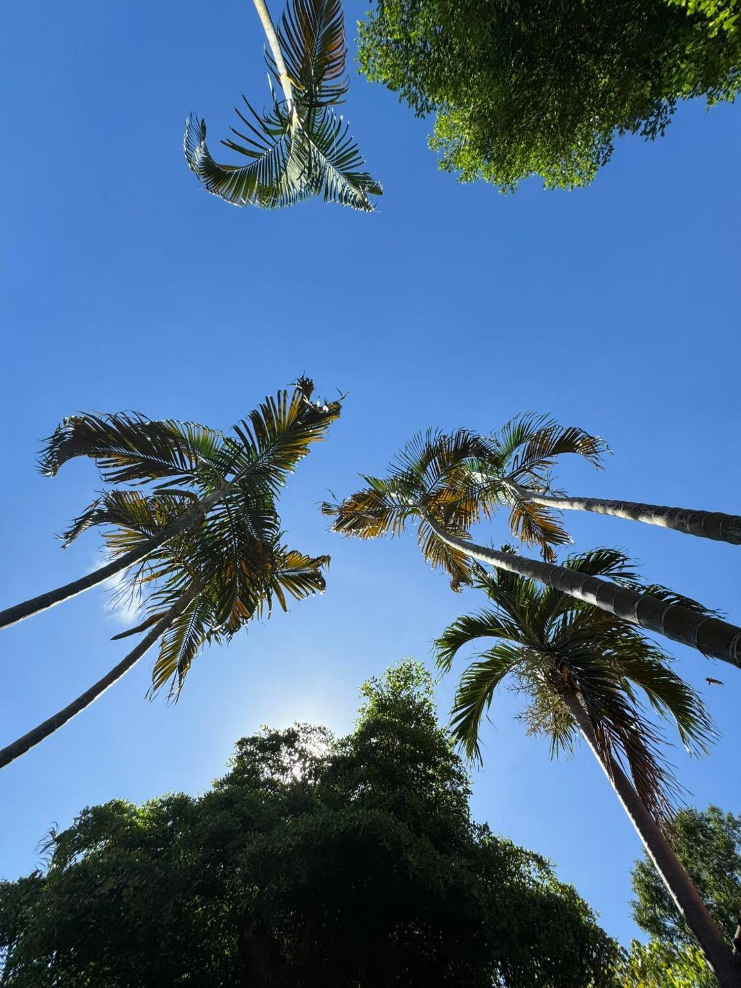 Boonya Resort Koh Chang Buitenkant foto